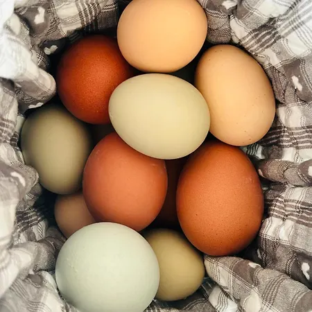 Rappenhof Бройна