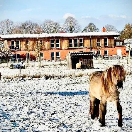 Rappenhof Отель