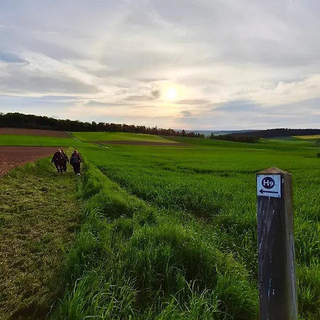 Rappenhof Отель