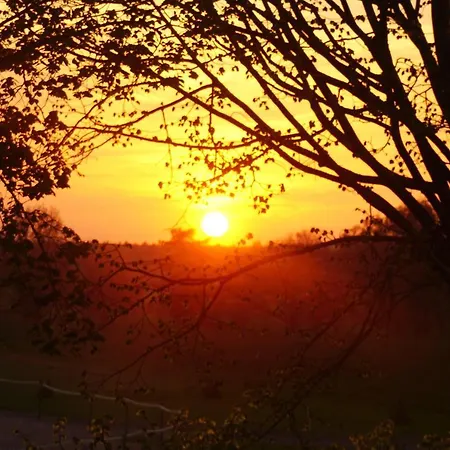 Отель Rappenhof 3*