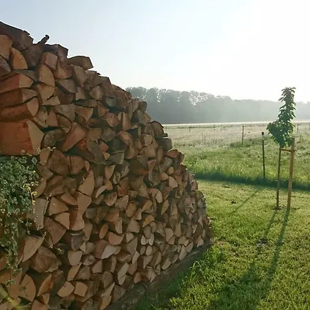 Отель Rappenhof